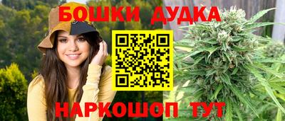 гидра Лесосибирск