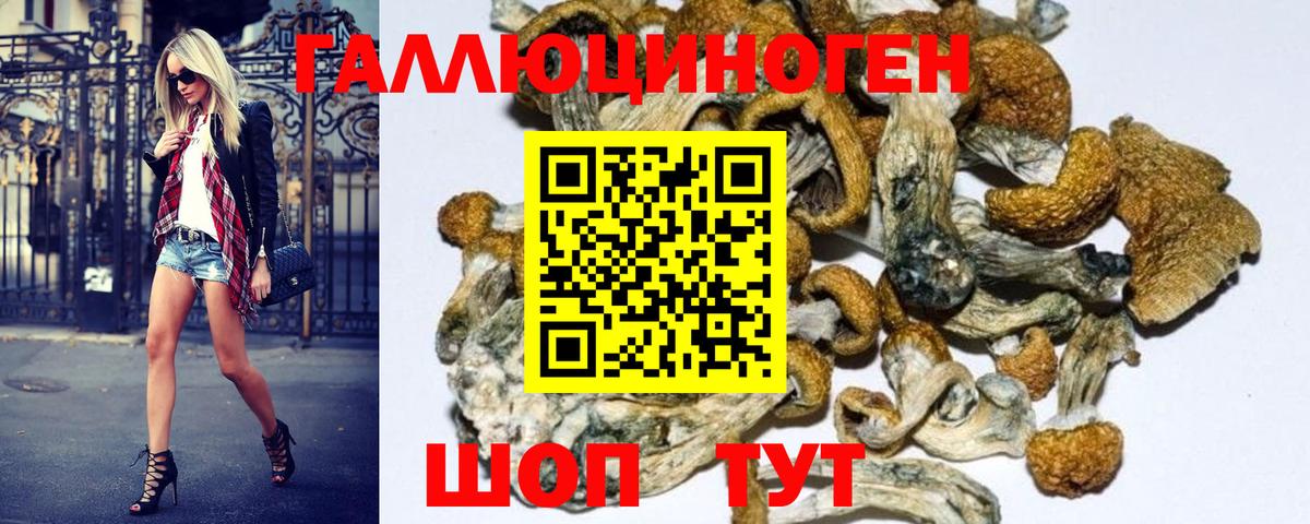 Псилоцибиновые грибы Psilocybine cubensis Воскресенск