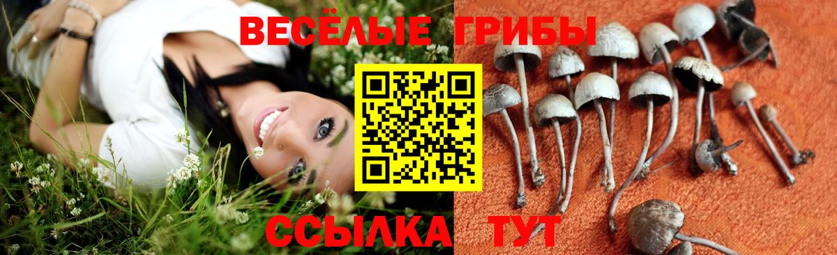 купить наркотик  Псилоцибиновые грибы мухоморы  Вход с VPN  Воскресенск 
